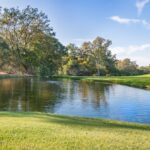 Cum să dezvolți meniuri adaptate sezonului