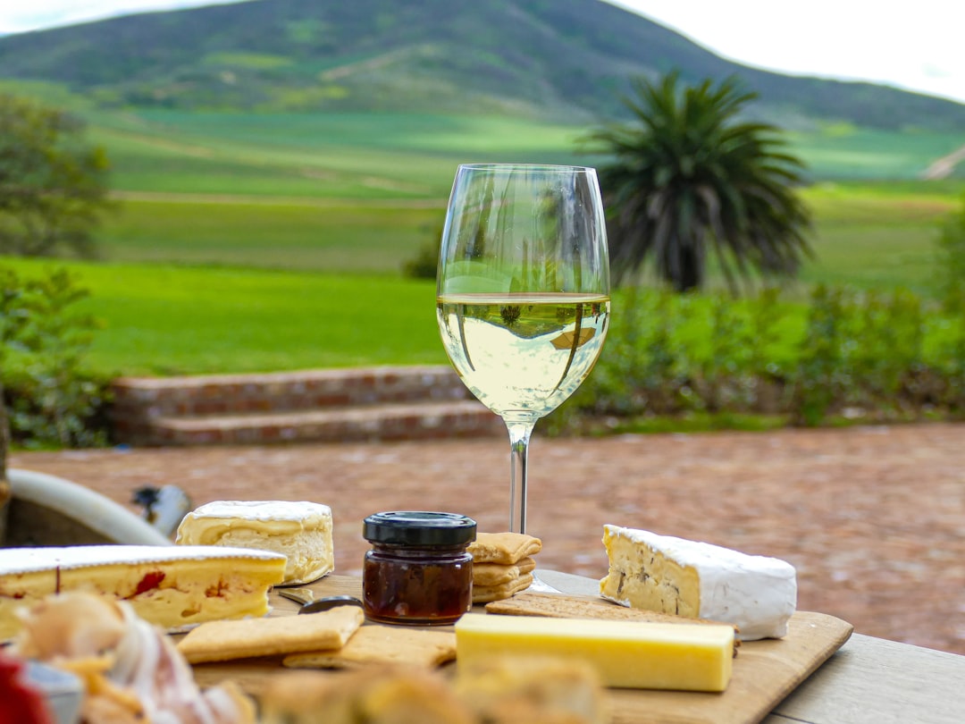 Photo wine and cheese tasting evenings