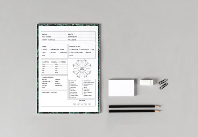 Cum să creezi meniuri pentru copii și familii