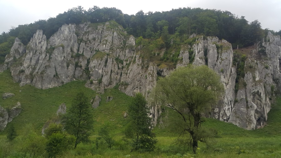 răbdare