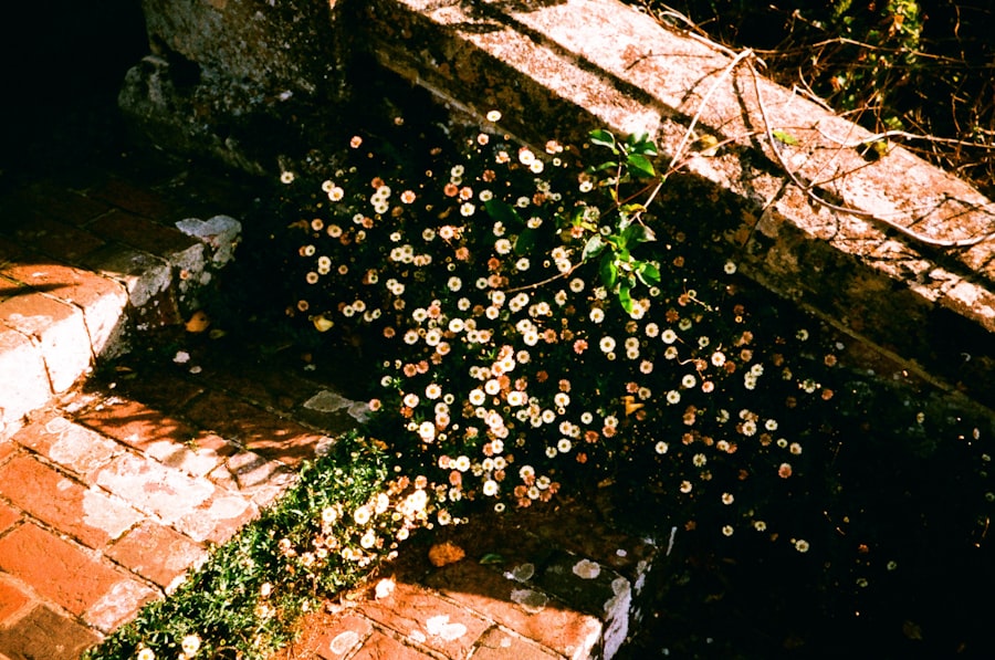 Photo small steps