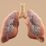 Obținerea stabilității pe termen lung: Ghid practic