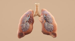 Obținerea stabilității pe termen lung: Ghid practic