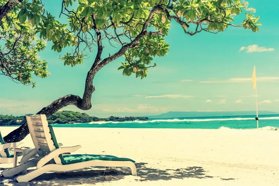Photo cheap travel seasons tips