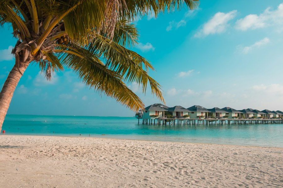 vacation deals guide 2024